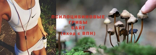 кристаллы Алзамай
